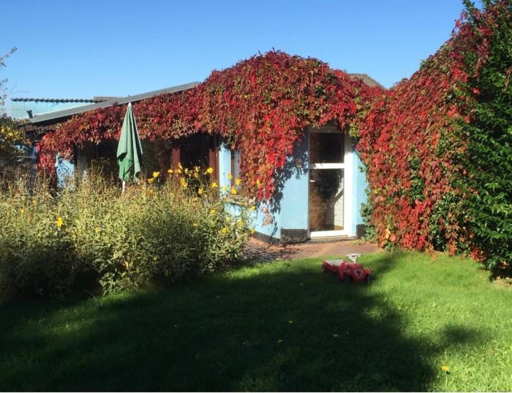 Villa Blaues Haus Neu Reddevitz à Lancken-Granitz Extérieur photo